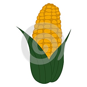 Simple cartoon style yellow corn. Golden maize harvest concept.