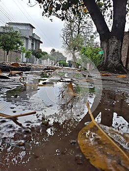 Simple click of autumn