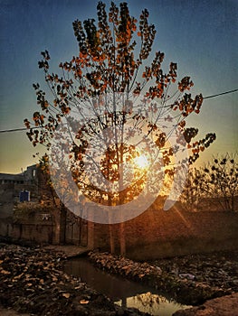 Simple click of autumn