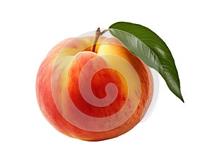 simple clip art of Peach Fruit on white background