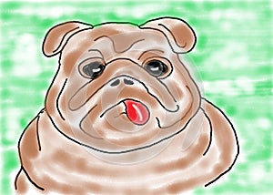 A simple colored impromptu sketch illustration of a fat brown Pug dog puppy photo