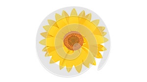 Simple Compass Rose: Directional Indicator Vector Icon, vector design Generative AI