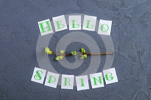 Simple composition of Hello spring calligraphy lettering and branche with young shoots of greenery on dark grey stone background.