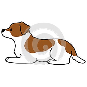 Simple and cute illustration of Jack Russell Terrier lying down