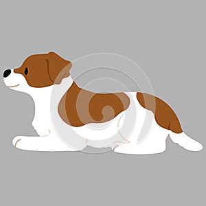 Simple and cute illustration of Jack Russell Terrier lying down flat colored