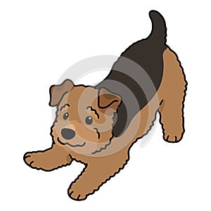 Simple and cute playful Welsh Terrier illustration