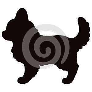 Simple and cute silhouette of long haired Chihuahua in side view