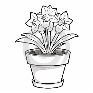 Simple Daffodil Coloring Page For Kids