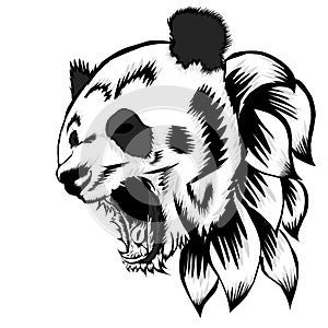 Simple design of head panda on white background