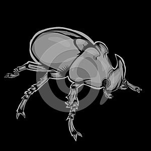 Simple design of insect beetle photo