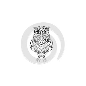 Simple design of bird owl photo