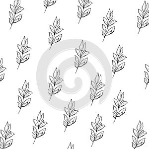 Simple doodle illustrations wallpaper flowers, Plants, leaves. Black and white square pattern. Minimalistic background with Plants