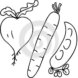 Simple doodle of vegetables: carrots, peas, turnips, beets. Cartoon style. Hand drawn vector illustration. Design for T-shirt,