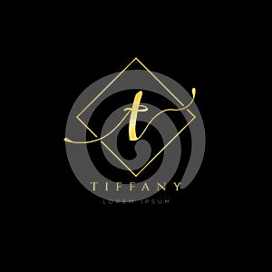 Simple Elegance Initial Letter T Logo Type Design