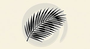 Minimalist Palm Leaf Silhouette