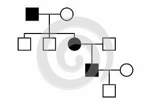 Simple family diagram illustration photo