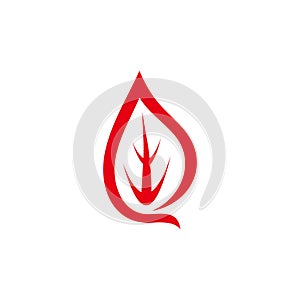 simple flame match red simple logo vector