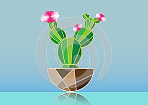 Simple flat cactus vector icon. Green cactacea with pink flowers pictogram isolated on blue background