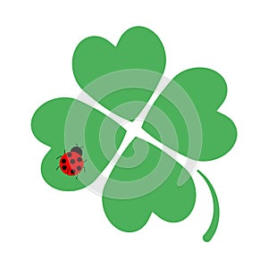 Simple and flat clover and ladybugs illustration