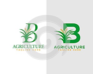 Simple and flat letter B logo with Leaf and plant element modern natural agricultural company logo.