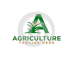 Simple and flat letter A logo with leaf and plant element modern natural agricultural company logo.