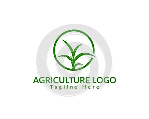 Simple and Flat Natural Agricultural Company Logo Design Template.