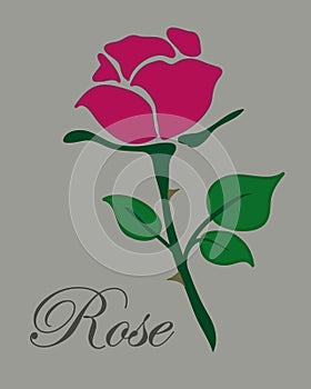 Simple flat red rose vector hand drawn icon illlustration text r