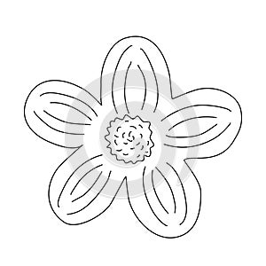 Simple flower head top view, doodle style flat vector outline for coloring book