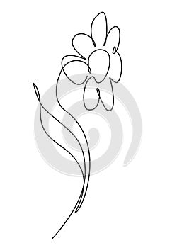 Simple flower look like chamomile. Stylized image in continuous one line art technique