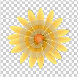 Simple flower on a transparent background