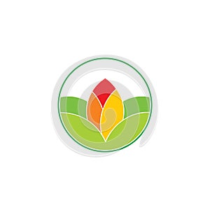 Simple geometric flower leaf circle logo vector