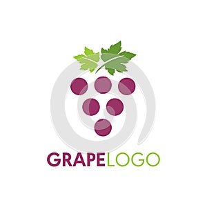 Simple grape logo vector template