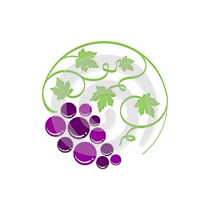 Simple grape logo vector template