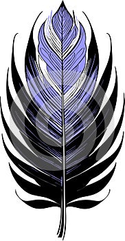 simple graphic drawing black and blue bird feather, sketch