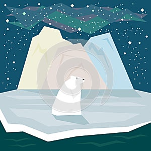 Simple graphic illustration in trendy flat style with white polar bear and ice on the starry sky background for use in design