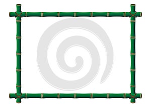 Simple green Bamboo frame, vector illustration