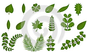 Simple green leaf set flat symbol icon collection