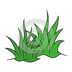 Simple hand drawn of grass vector illustration with flat cartoon style