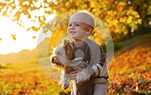 Simple happiness. Sweet childhood memories. Child play with yorkshire terrier dog. Toddler boy enjoy autumn with dog