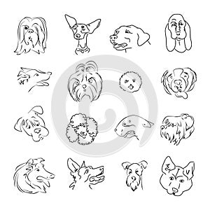 A simple heads of dogs of different breeds
