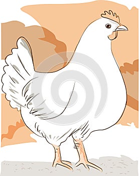 Simple Hen standing against simple background