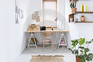 Simple home office interior in a bright room with a desk, window blinds and plant