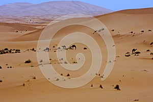 Simple hotel in the desert, Sahara, Morocco