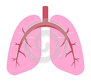 Simple human lungs graphic pink color isolated white background. Medical diagram respiratory