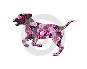 Simple illustration of a dogsilhouette with flowers design isolated on a white background photo