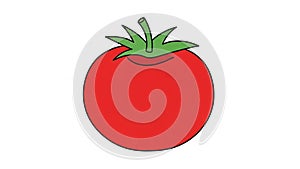 White background, emphasizing the bold, primary colors of the tomato