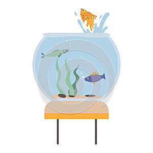 Simple illustration of round aquarium with three fish