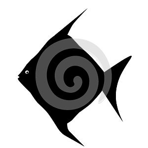 Simple illustration vector design of pomfret fish