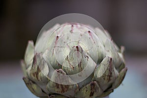 Simple image of artichoke against blurred grey background with copyspace