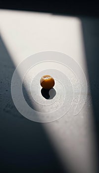 Single Yellow Chickpea on Slate